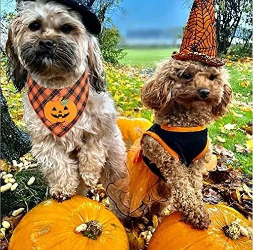 Orange Halloween dog bandana with pumpkin appliques and skeleton print on plaid fabric