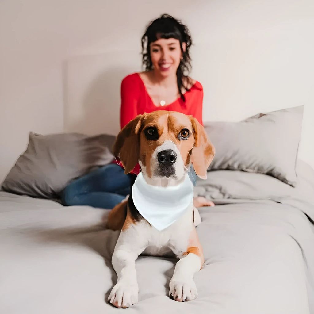 Blank white polyester dog scarf bandana for custom thermal transfer printing, shown in four sizes.