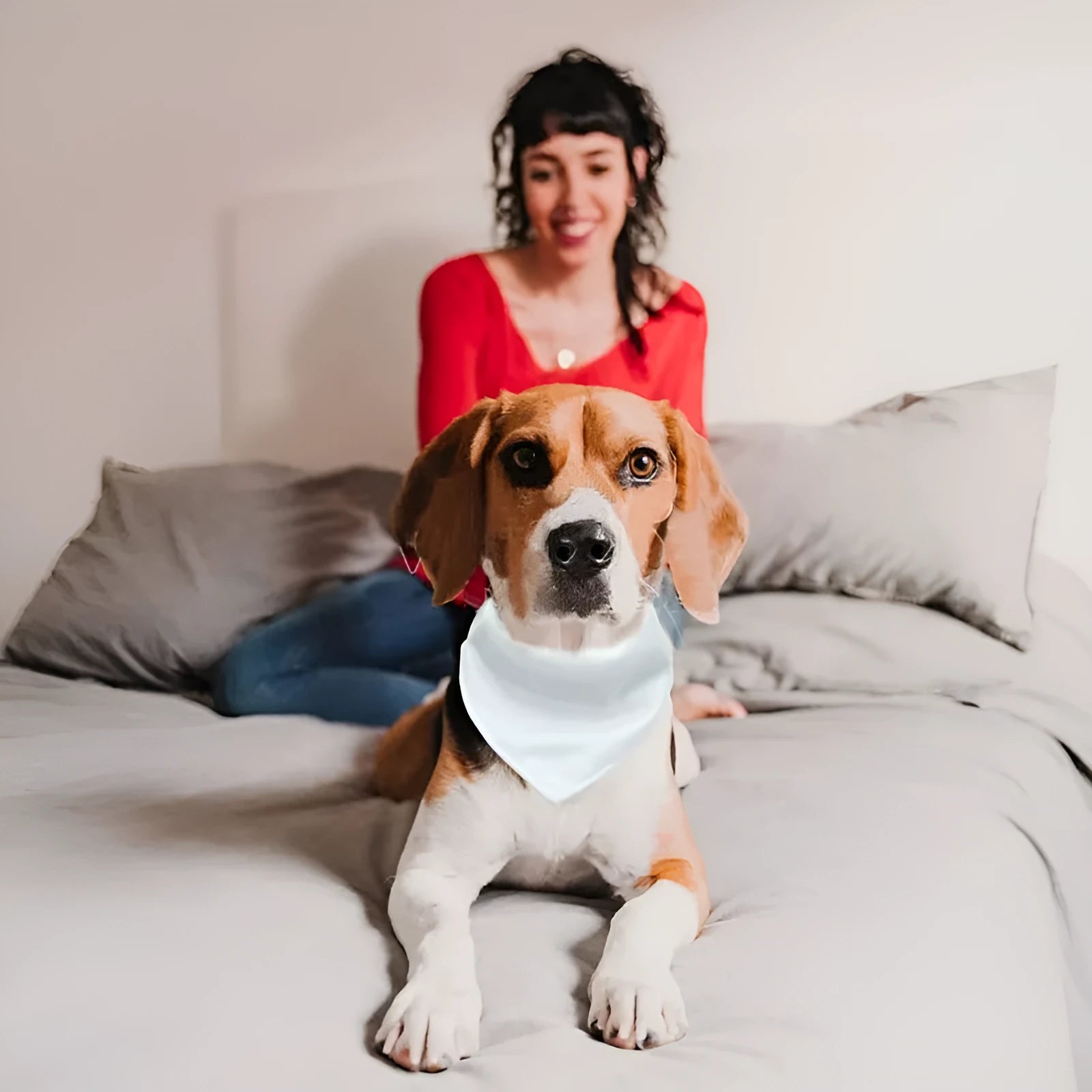 Blank white polyester dog scarf bandana for custom thermal transfer printing, shown in four sizes.