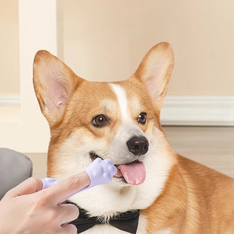 Silicone finger toothbrush for pets in pink, purple, and yellow colours