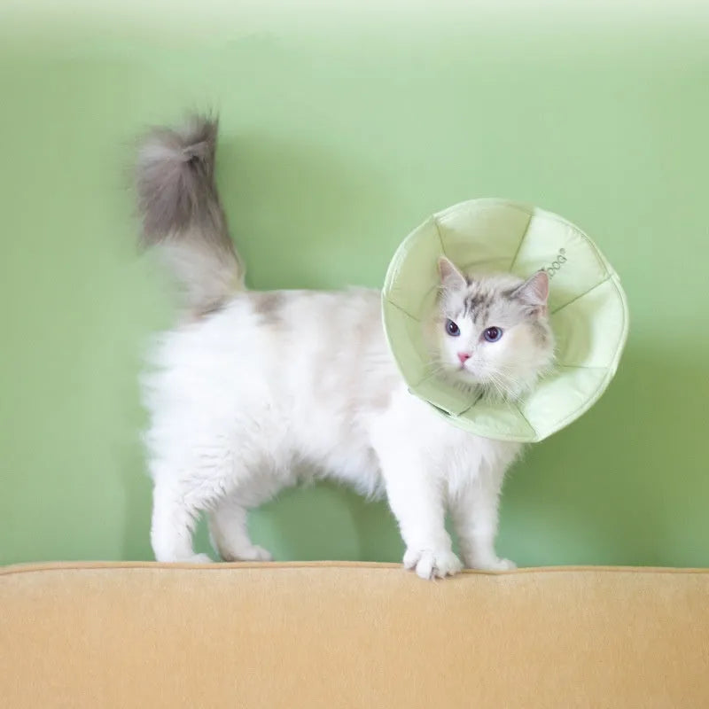 Waterproof polyester cat anti-licking recovery collar in Light Strawberry colour on a white background showing soft material