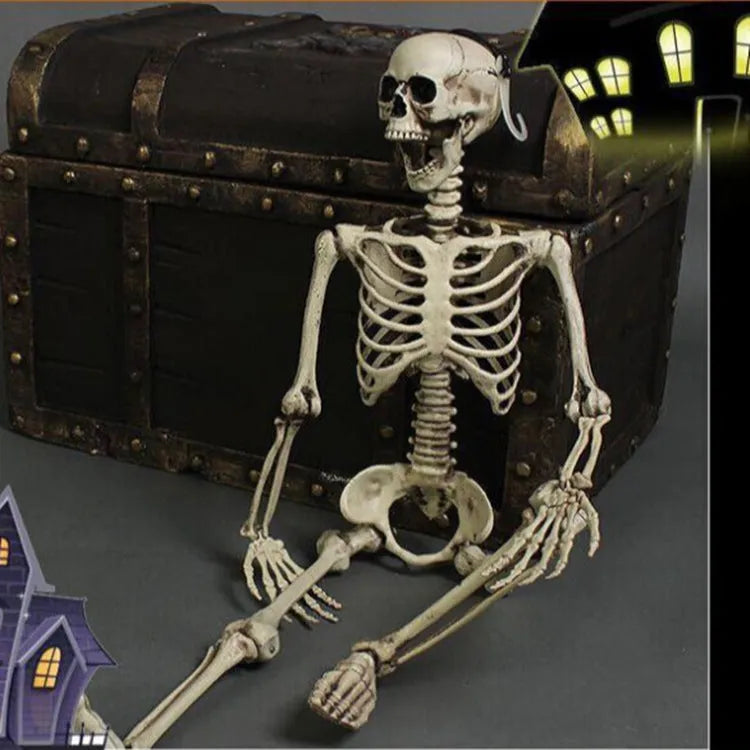 170 cm tall realistic plastic skeleton prop with detailed skull and bones
