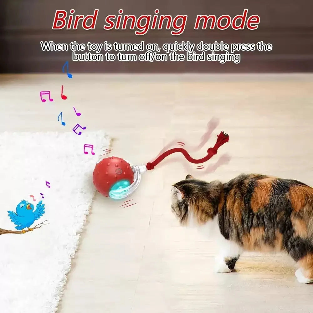 Blue and red interactive cat rolling ball toy for indoor feline enrichment