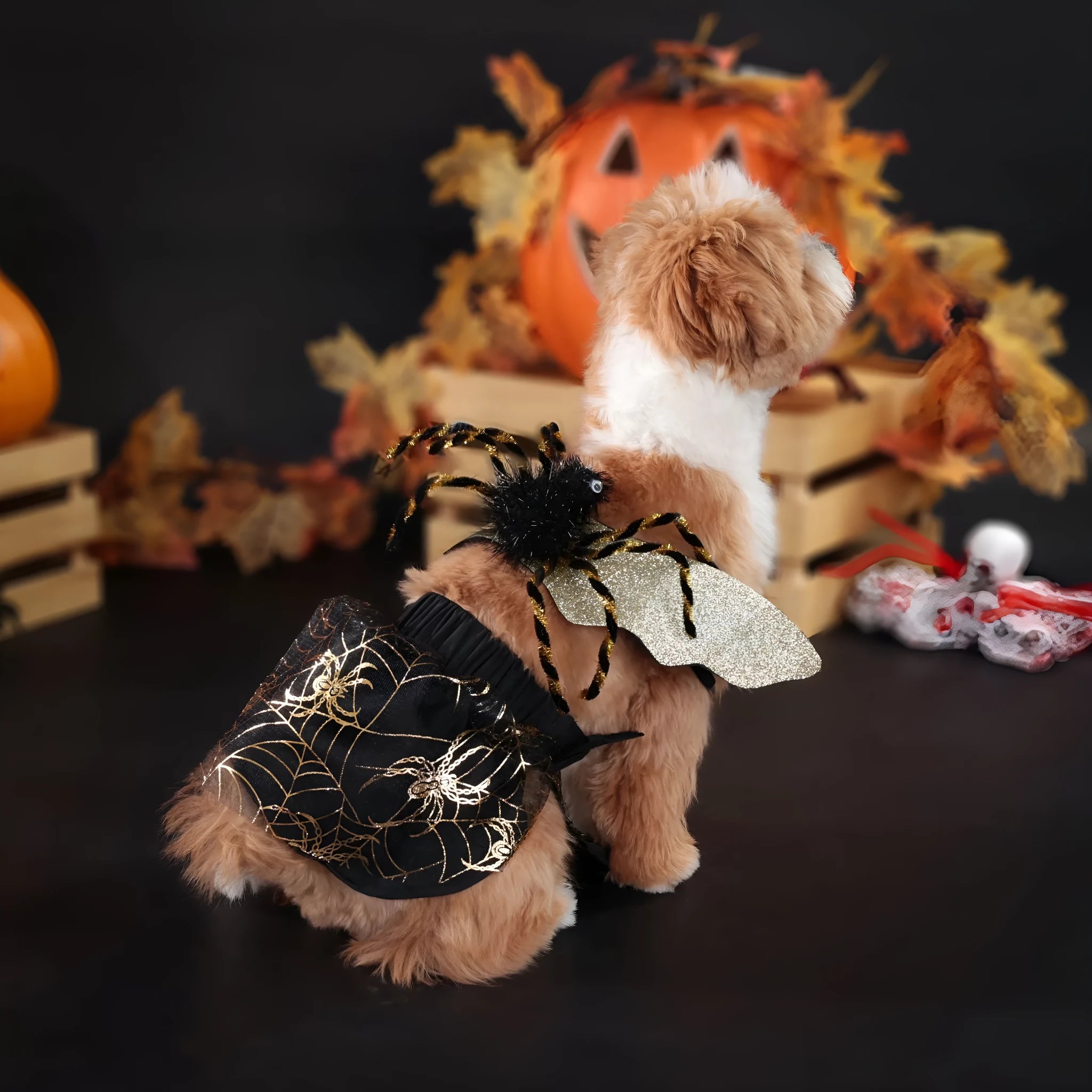 A dog wearing a Halloween suit costume in a single colour, showing the full one-piece polyester outfit.