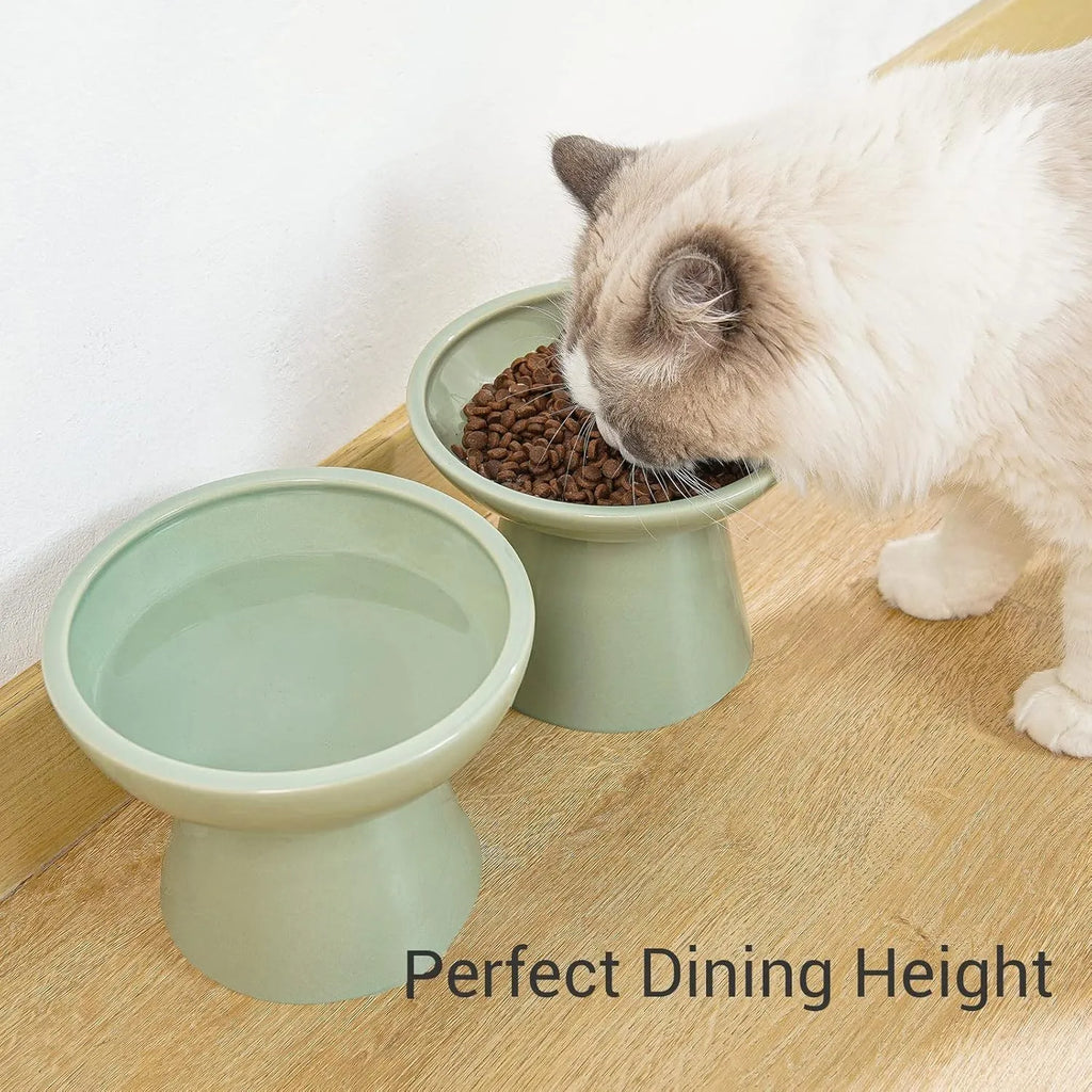 Ceramic elevated cat food bowl set in blue green pink or white colours with wide shallow design
