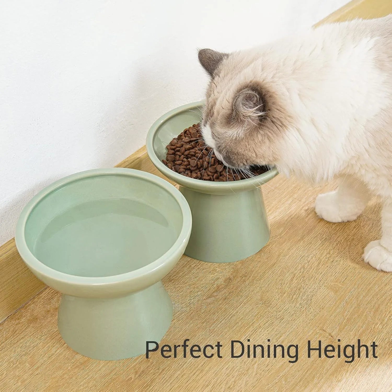 Ceramic elevated cat food bowl set in blue green pink or white colours with wide shallow design