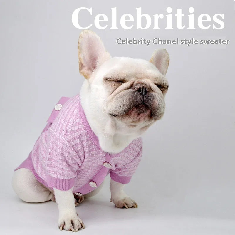 Wool knitted schnauzer dog jumper for autumn and winter in classic style