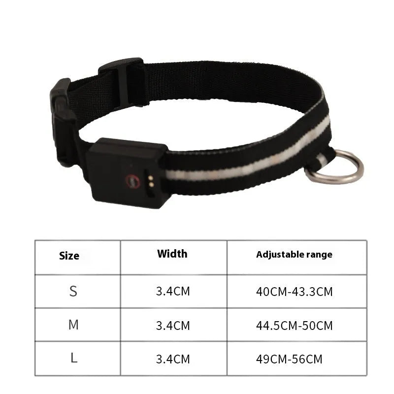Black LED luminous dog collar with hand rope for night-time walking safety
