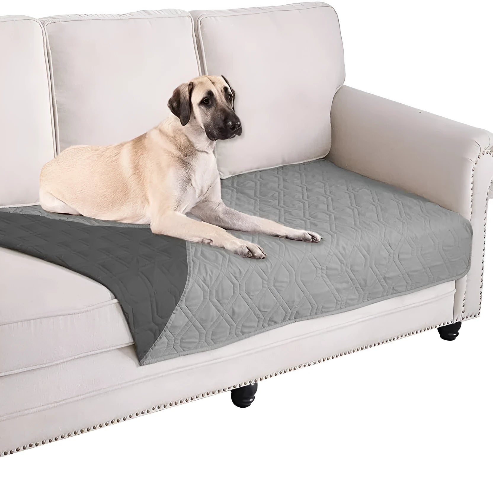 Reversible waterproof dog blanket on a sofa showing two colour sides, available in black, burgundy, camel, coffee and grey.