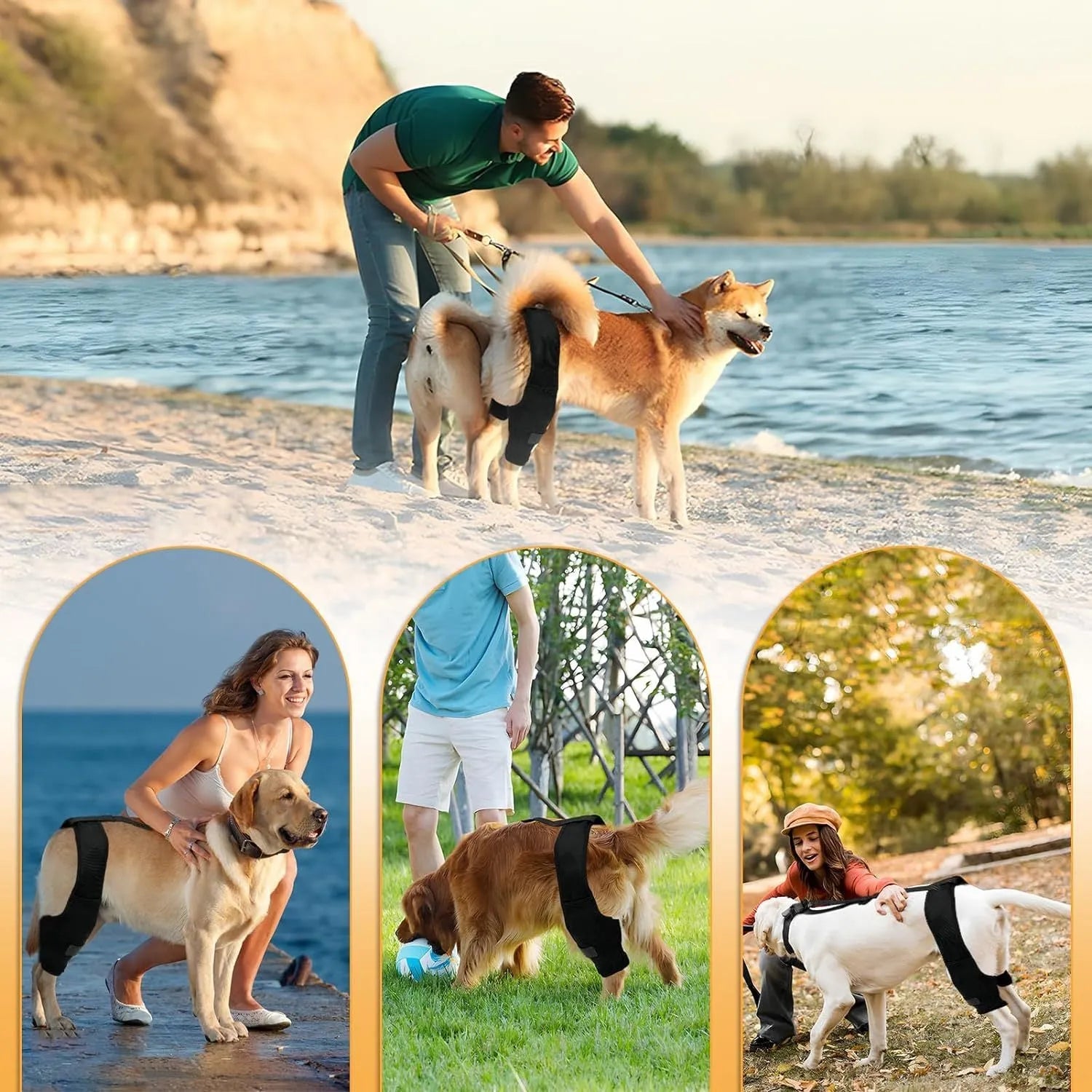 Dog leg protector knee brace with auxiliary belt for joint protection in small medium and large sizes