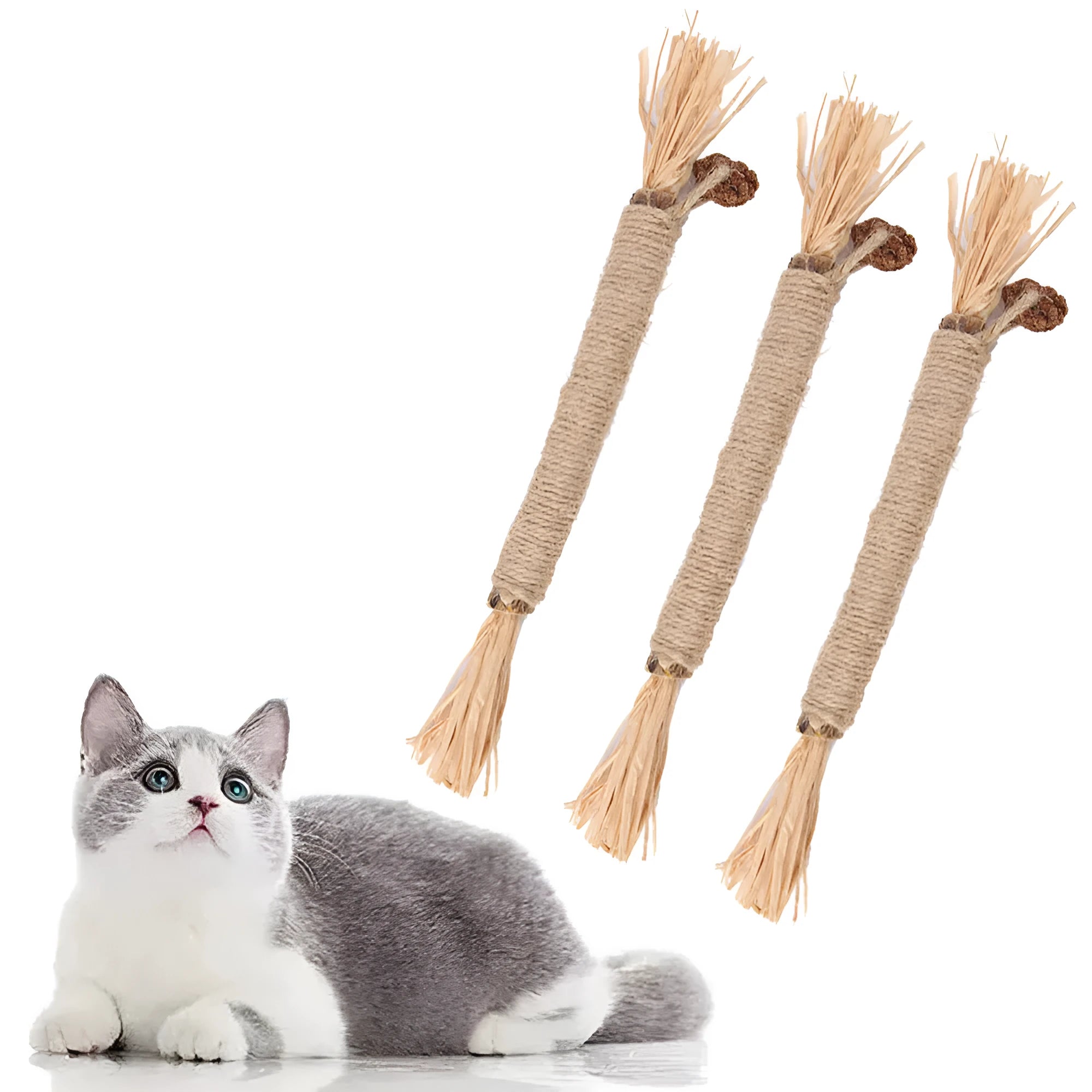 Three natural silvervine chew sticks for cats on a wooden surface.