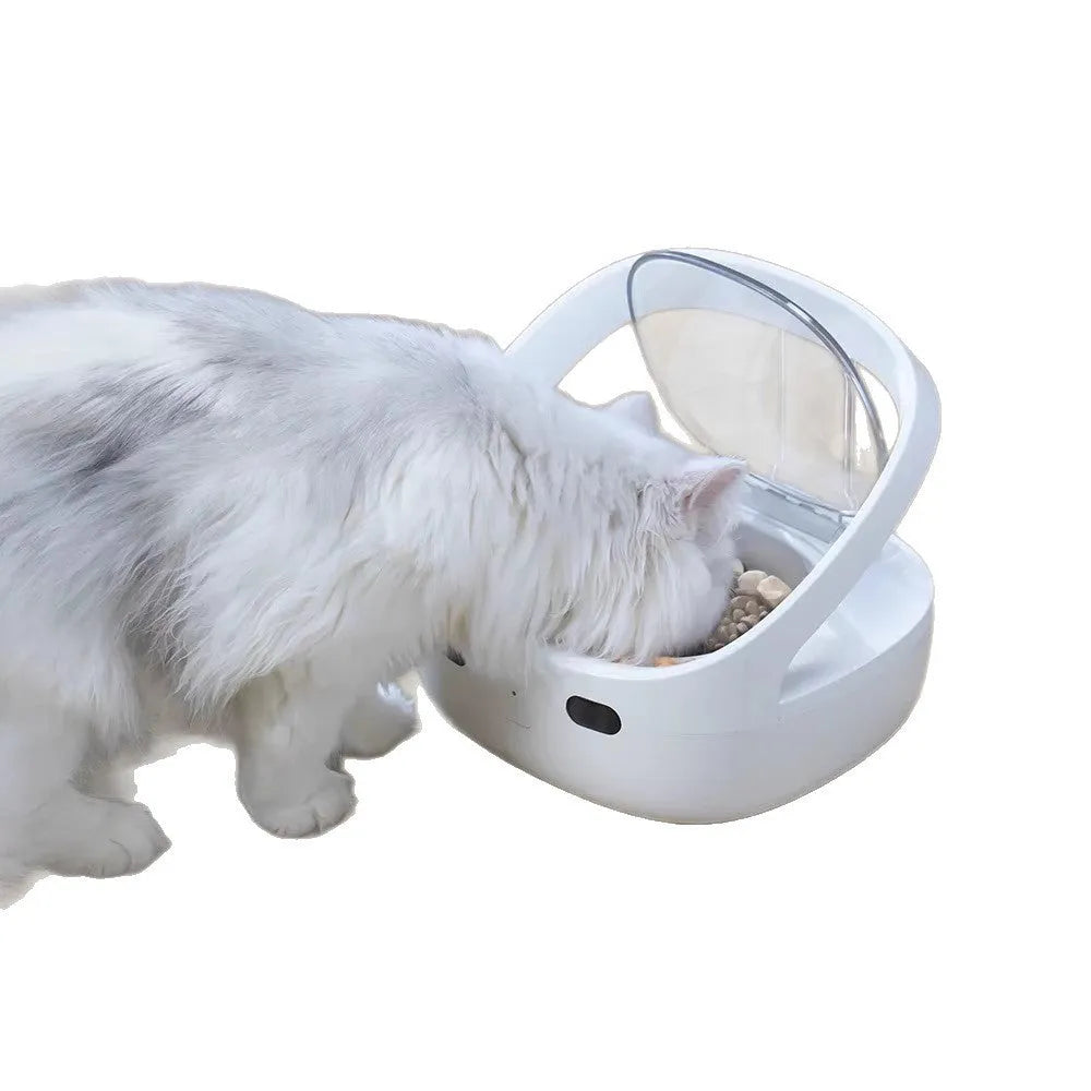 Smart pet feeder in white plastic with food bowl and ice box for cats