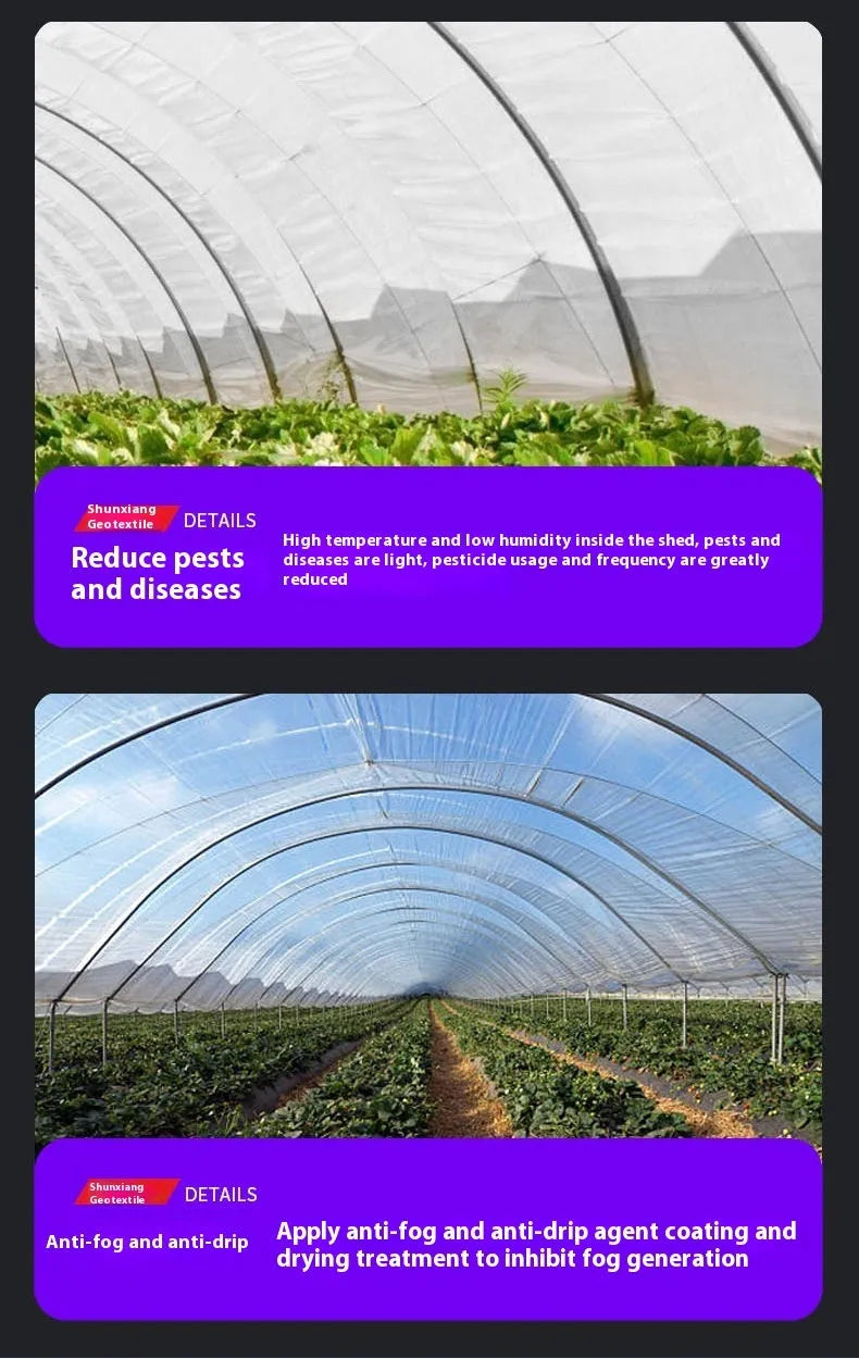 Plastic greenhouse cold film insulation sheet measuring 4 metres by 8 metres for vegetable garden protection