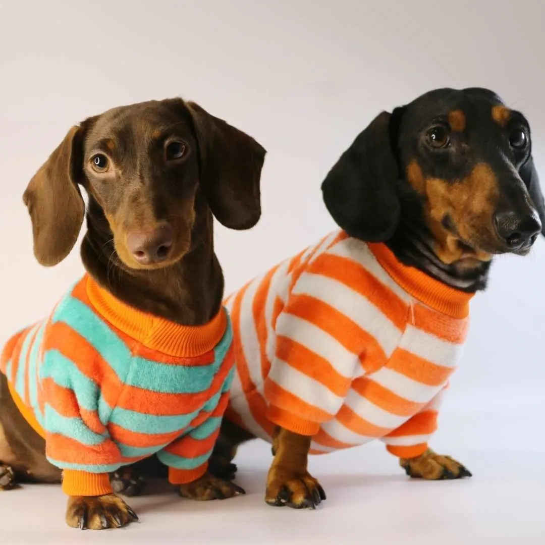 Orange red striped casual sweatshirt for dogs and cats with round neck in six sizes