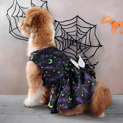 Orange angel wings Halloween costume for a dog on a white background.