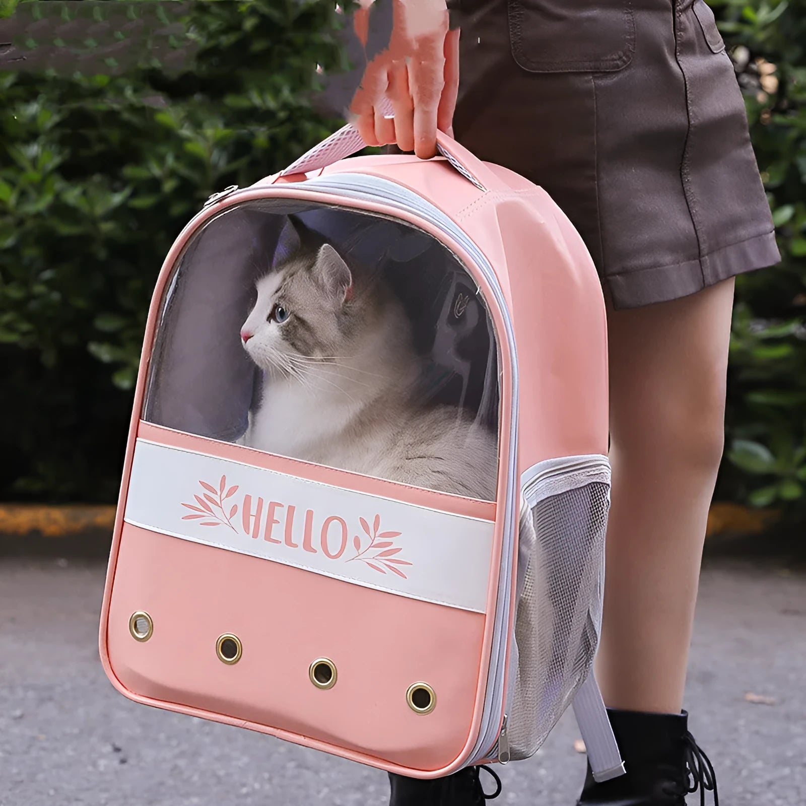 Colorblock English Macaron pet backpack in Oxford cloth, 32x40x24cm, with shoulder straps