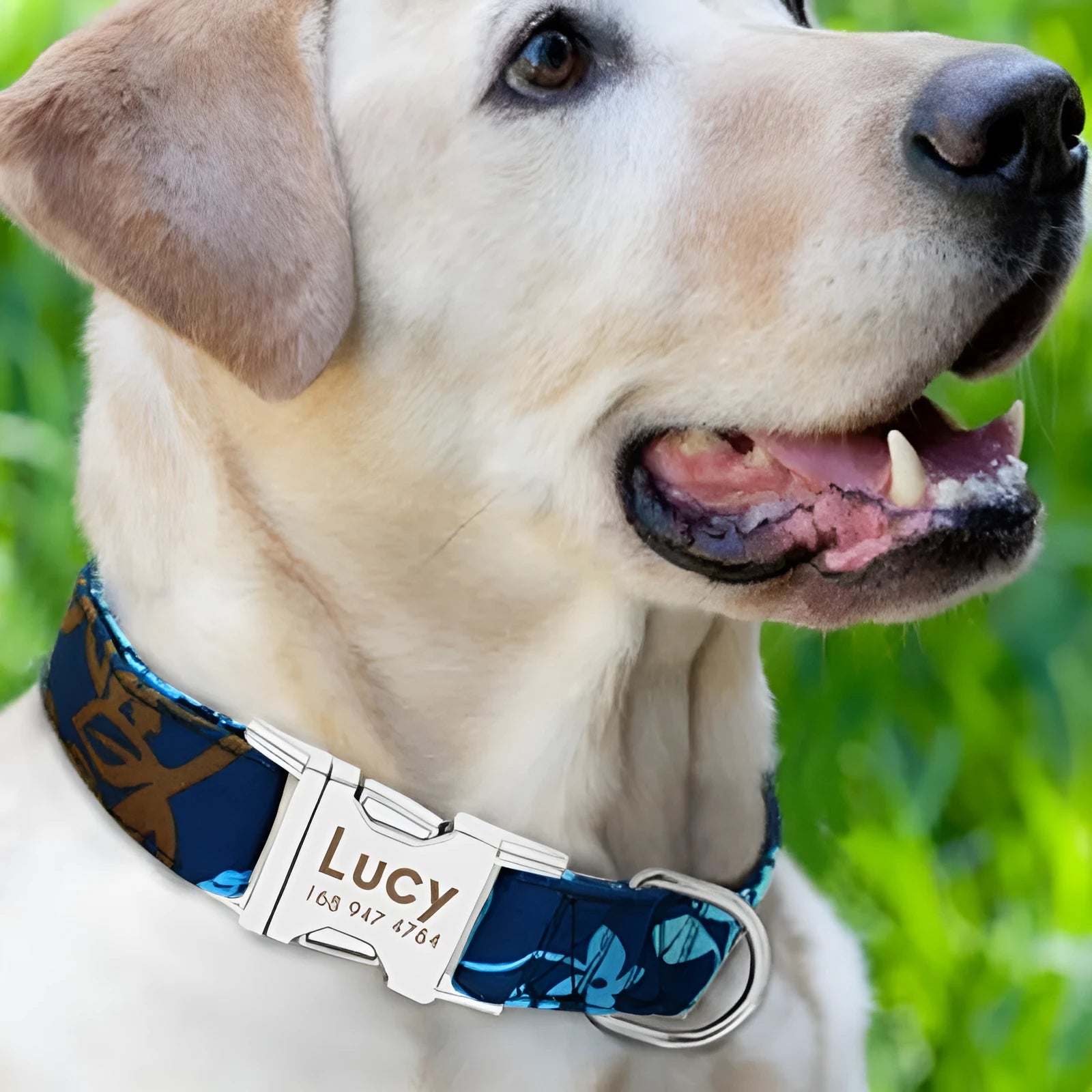 Adjustable dog collar with metal buckle in black, green or rose red