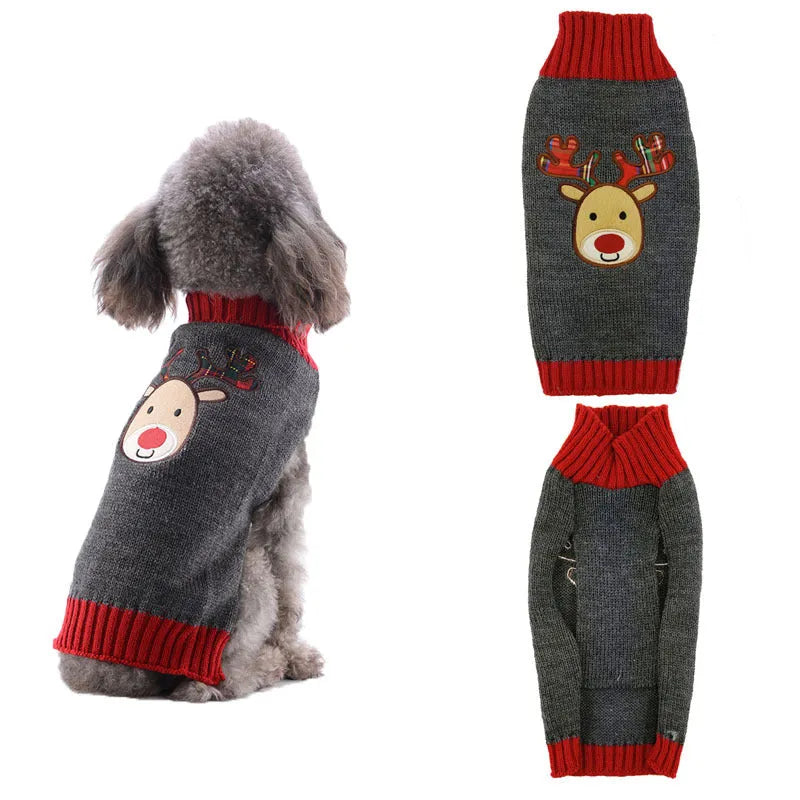 Small grey dog wearing a black Christmas sweater with white pompom and reindeer pattern