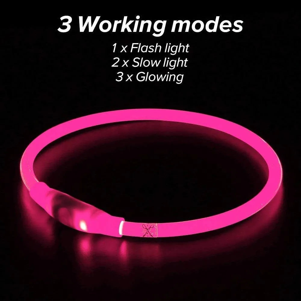 Blue rechargeable LED dog collar glowing around a dog's neck on a dark background.