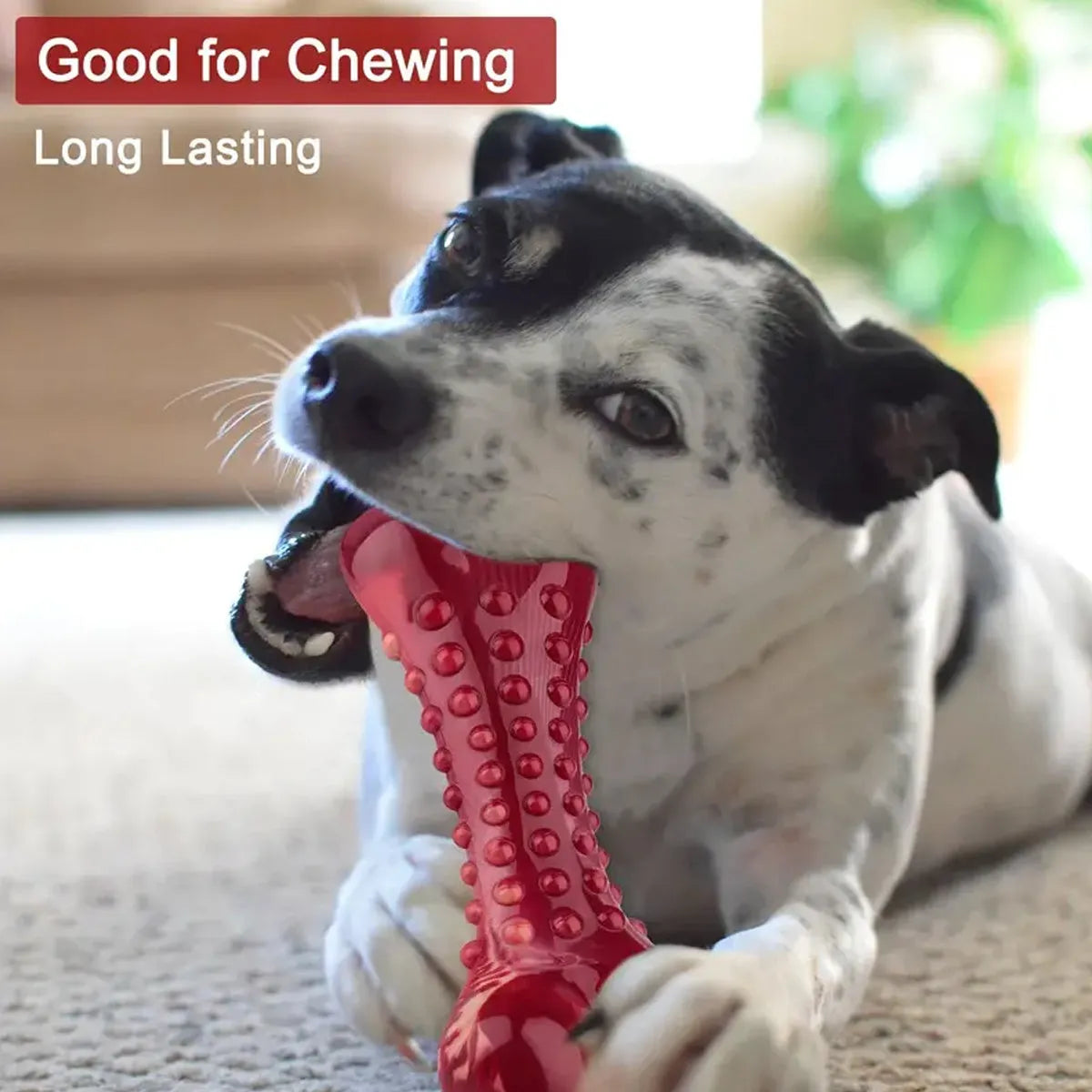 Red natural rubber chew toy for aggressive dogs measuring 12cm long