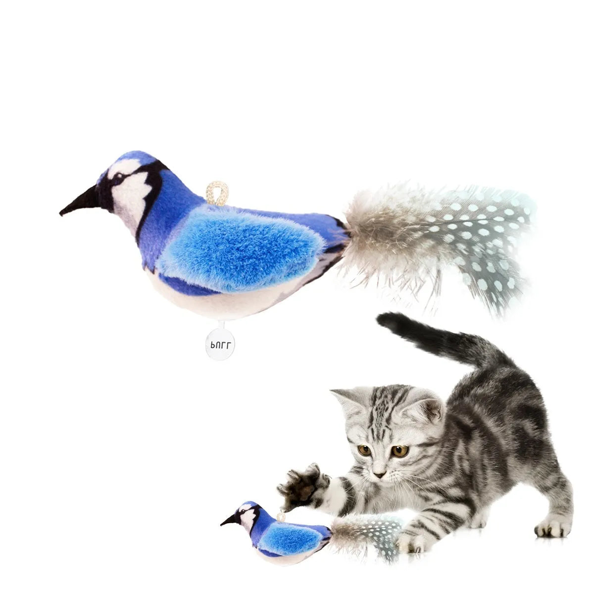 Bird simulation cat toy showing colourful plush bird designs including blue kingfisher and sparrow variants