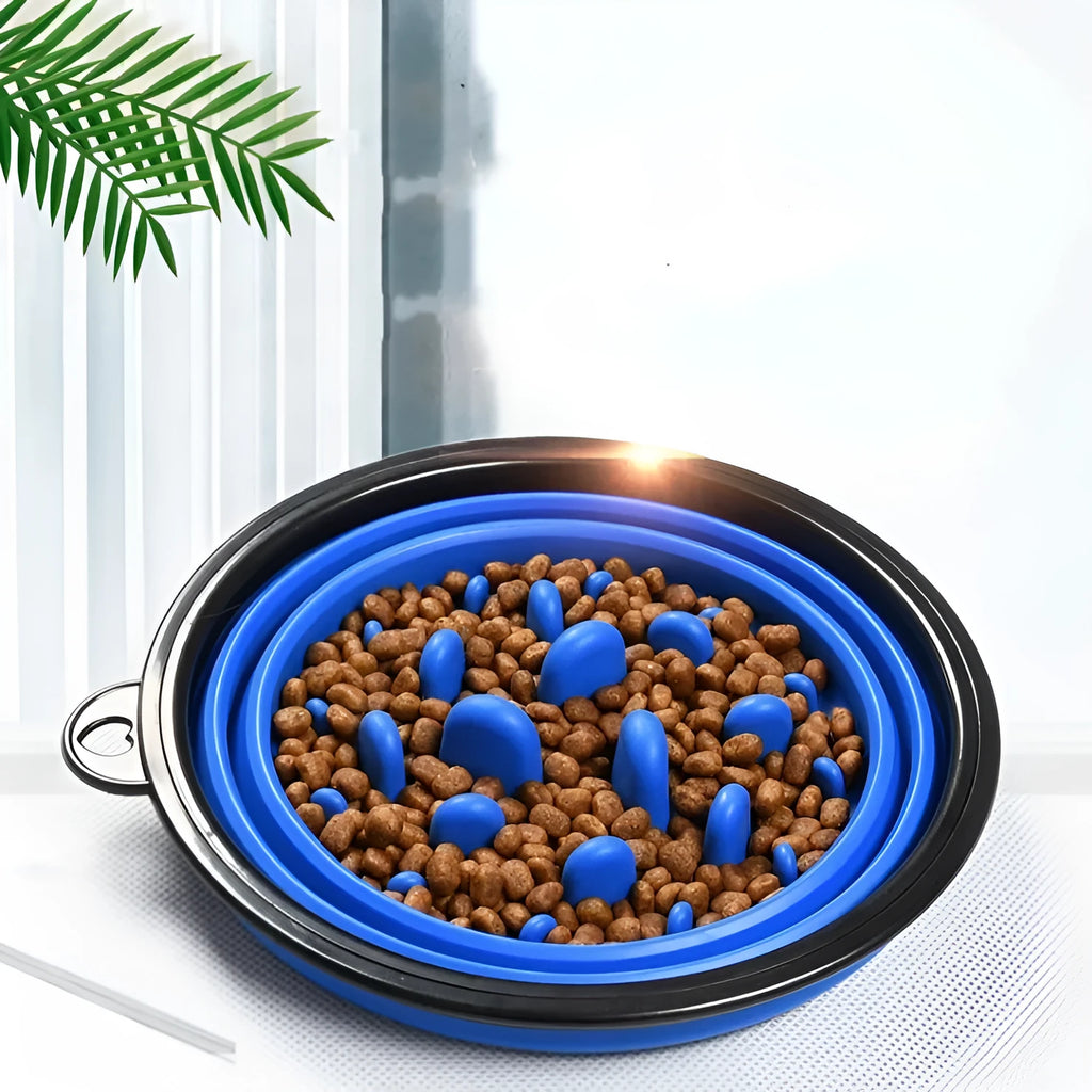 Foldable pet slow food bowl in blue with collar buckle on outdoor grass