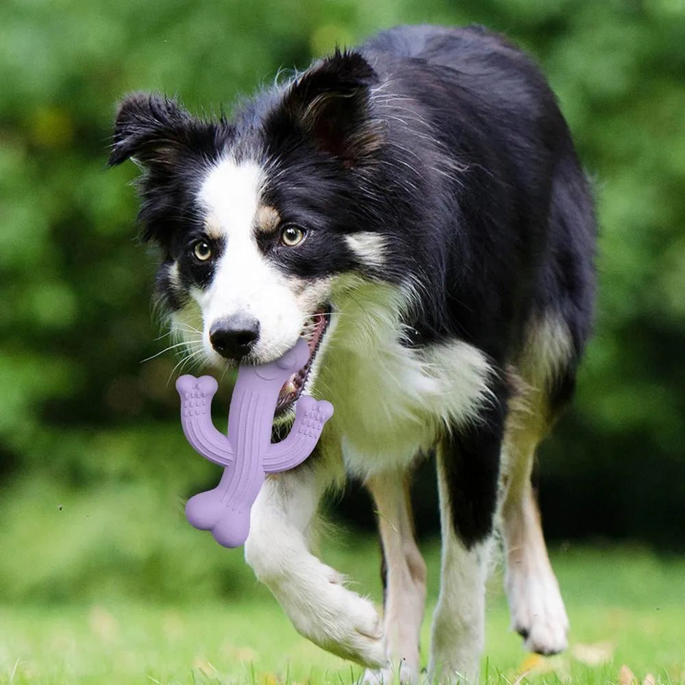 Beige, blue, and purple cactus-shaped dog chew toy made from bamboo fibre and rubber on a white background.