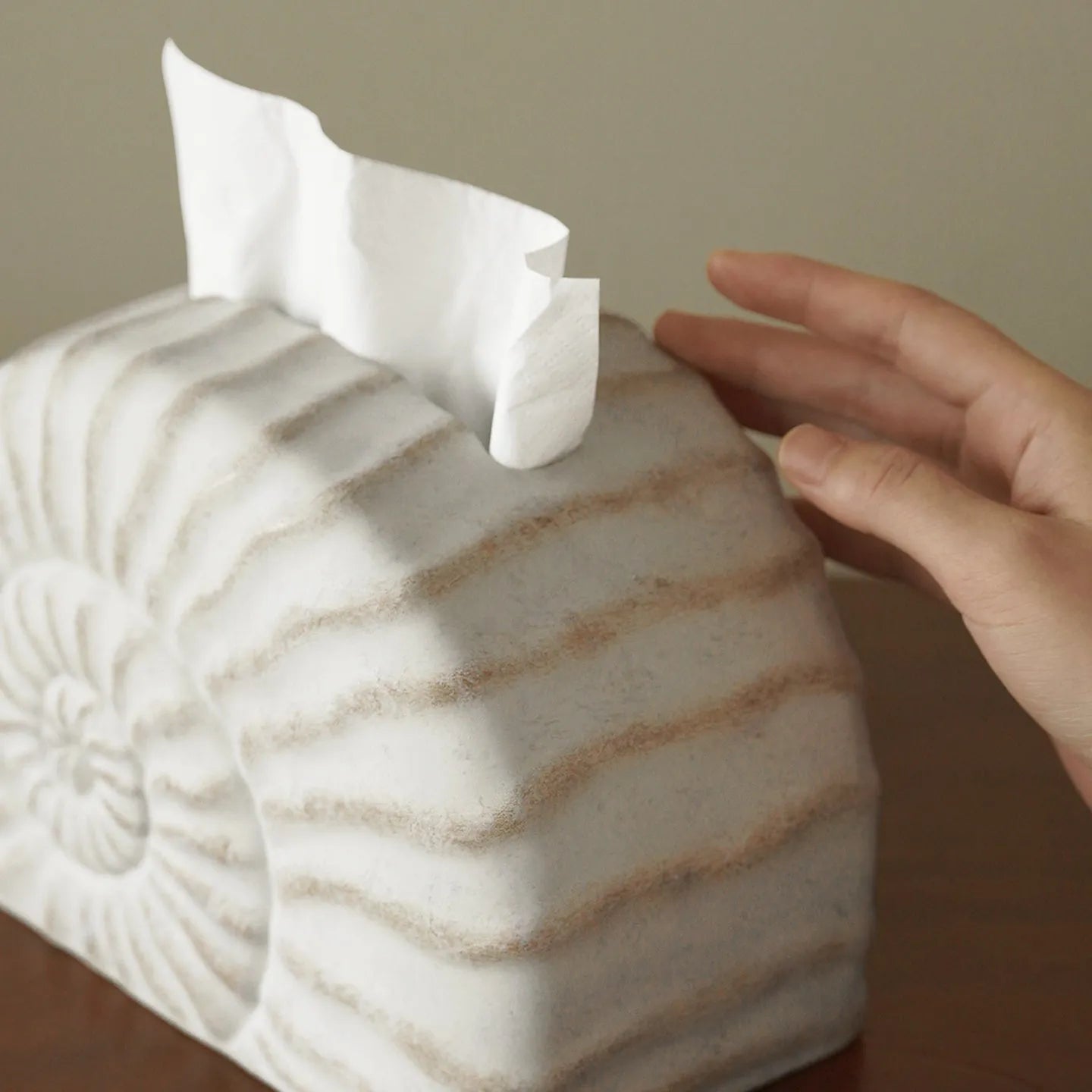 White conch ramble shell design resin tissue box holder on a table.