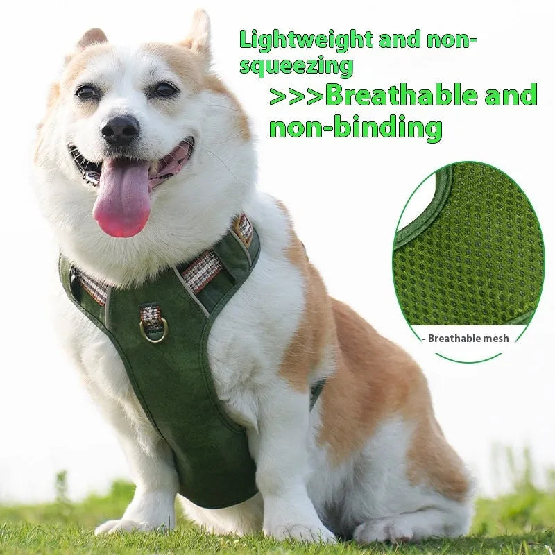 Brown leather dog harness with reflective strips showing buckle closure and adjustable chest strap