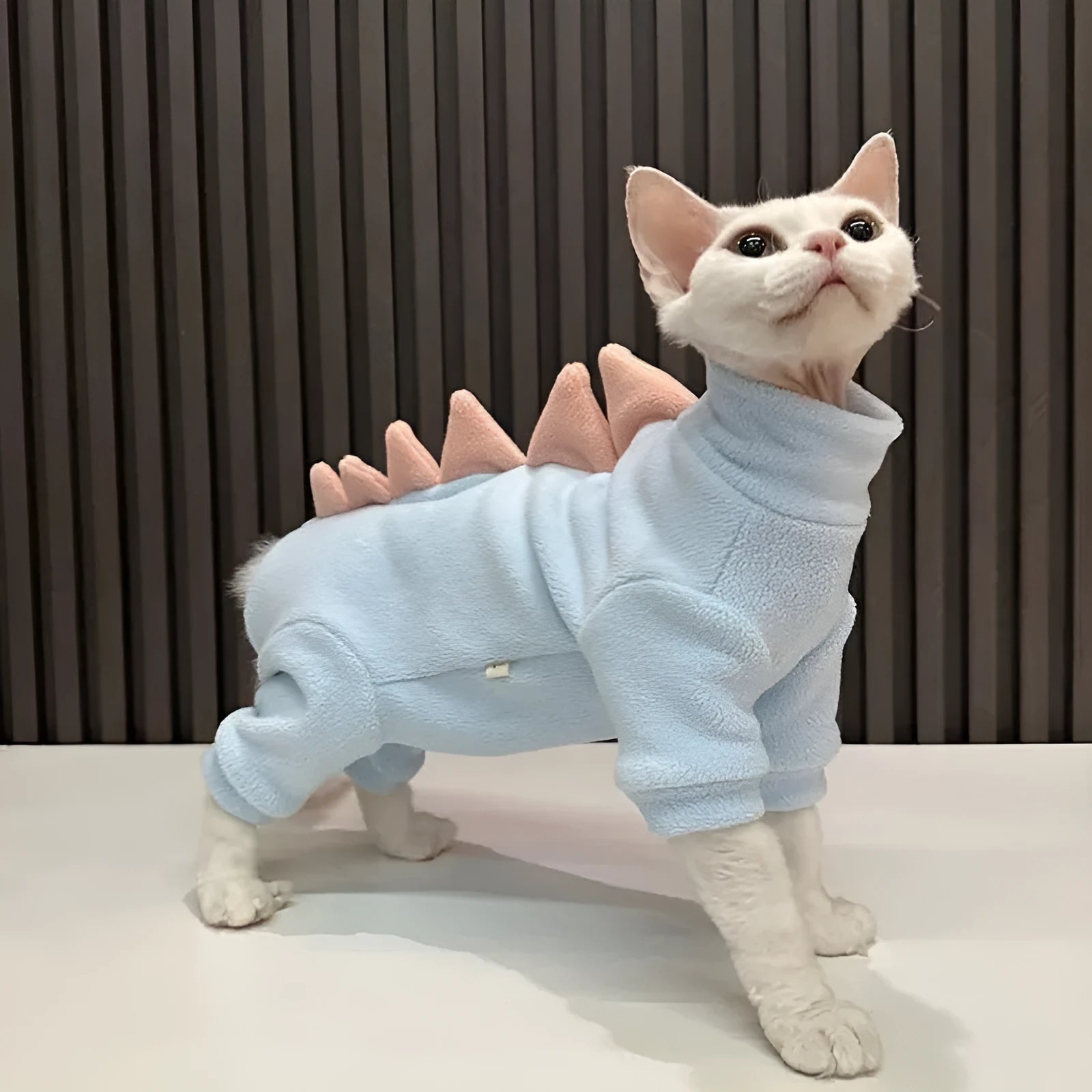 Green fleece dinosaur costume on a hairless Sphynx cat, showing tail and spine details.