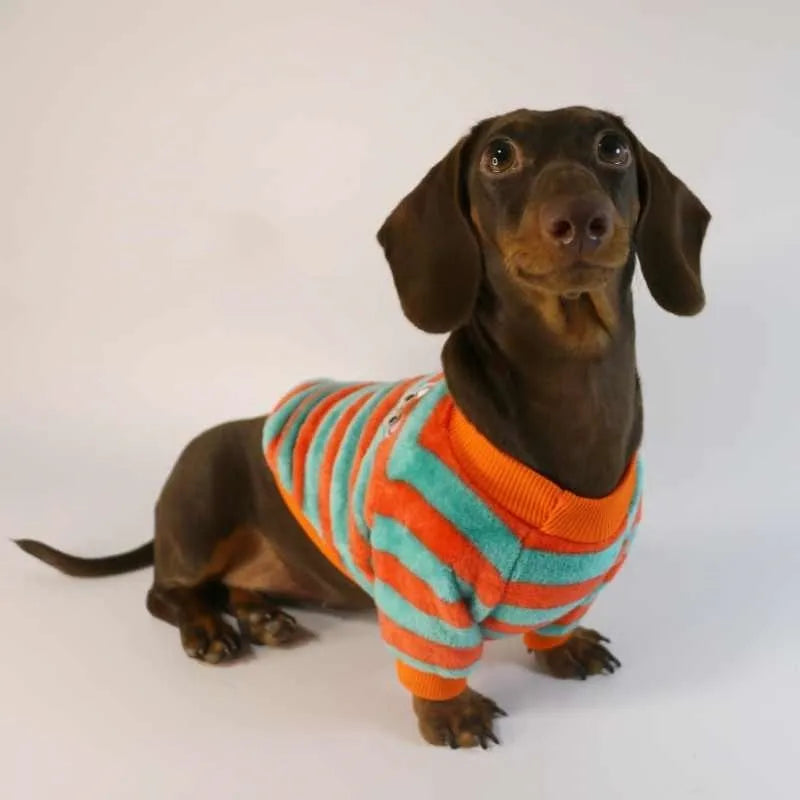 Orange red striped casual sweatshirt for dogs and cats with round neck in six sizes