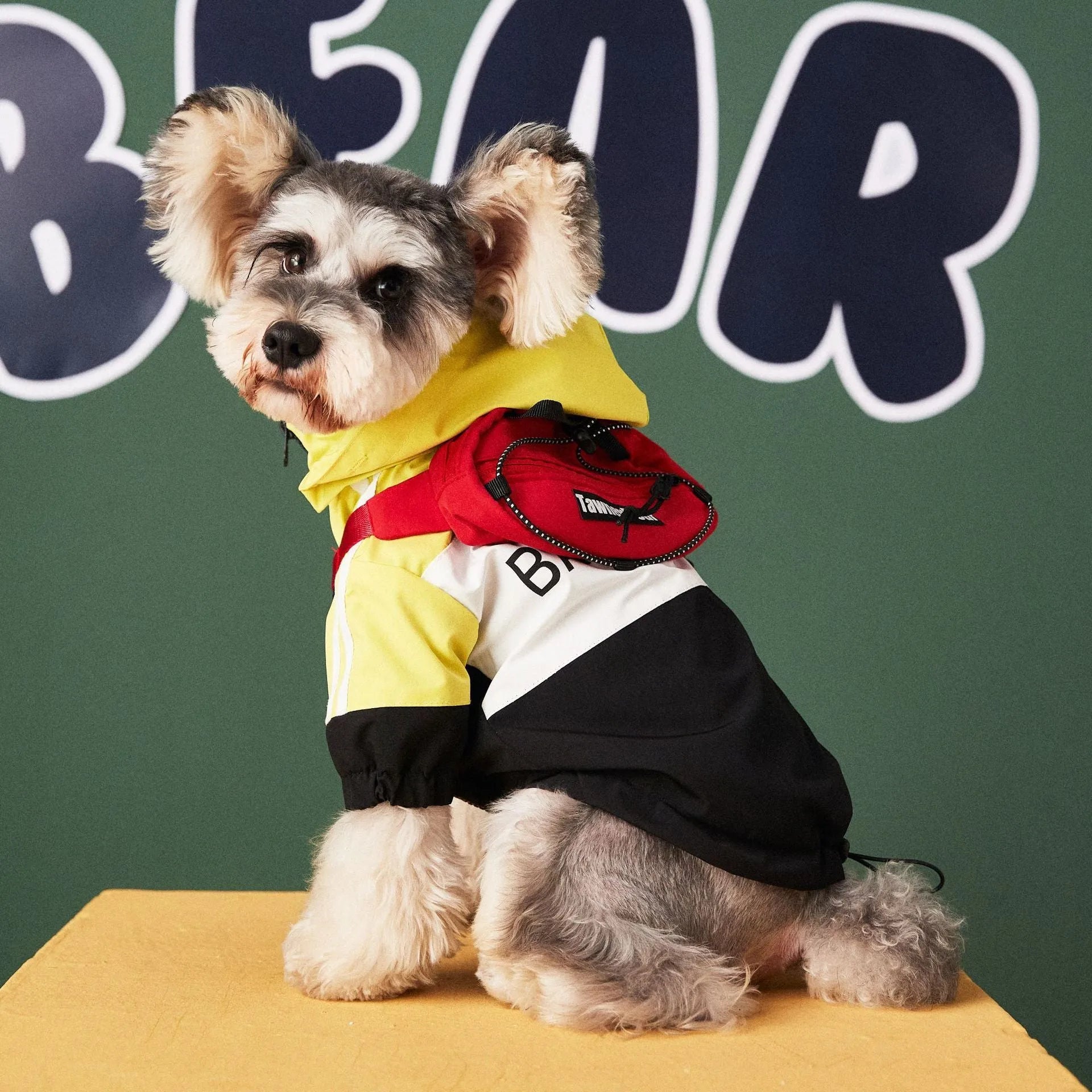 Dog wearing a waterproof polyester raincoat jacket in red, sized for small to large dogs