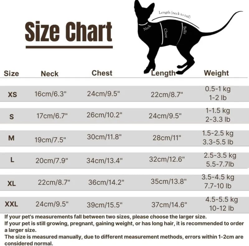 Green fleece dinosaur costume on a hairless Sphynx cat, showing tail and spine details.