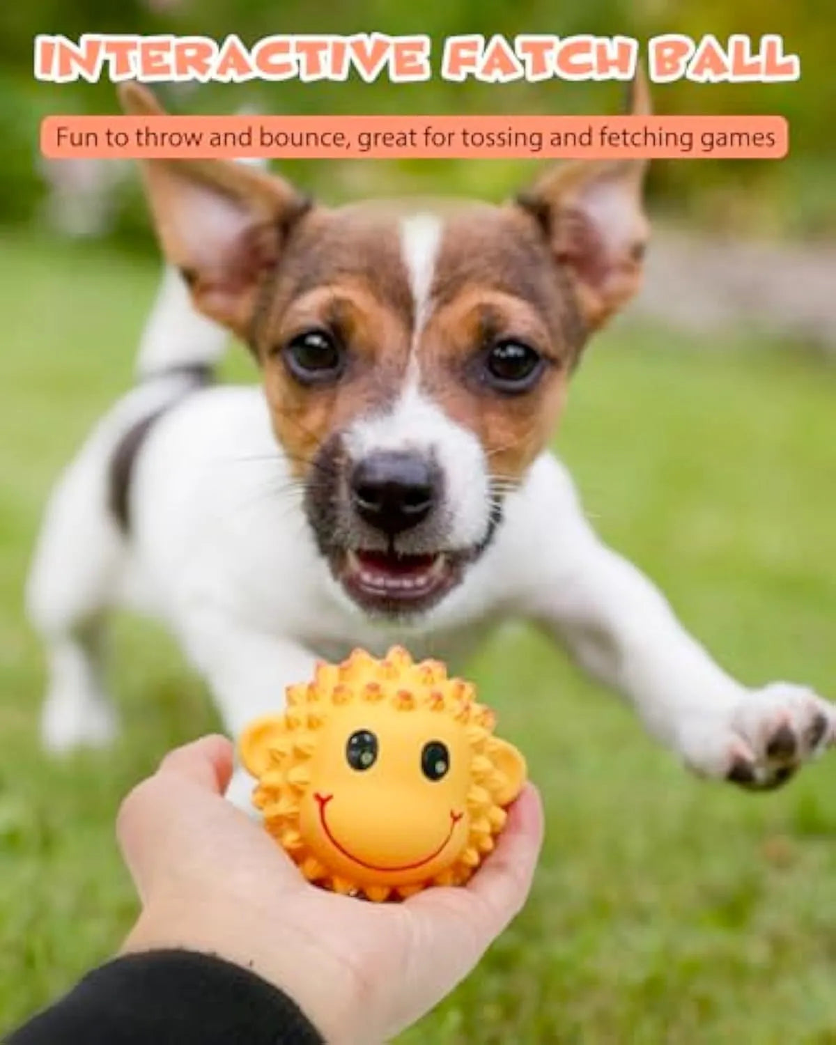 Orange and yellow spiky squeaky latex dog toy for small medium breeds.