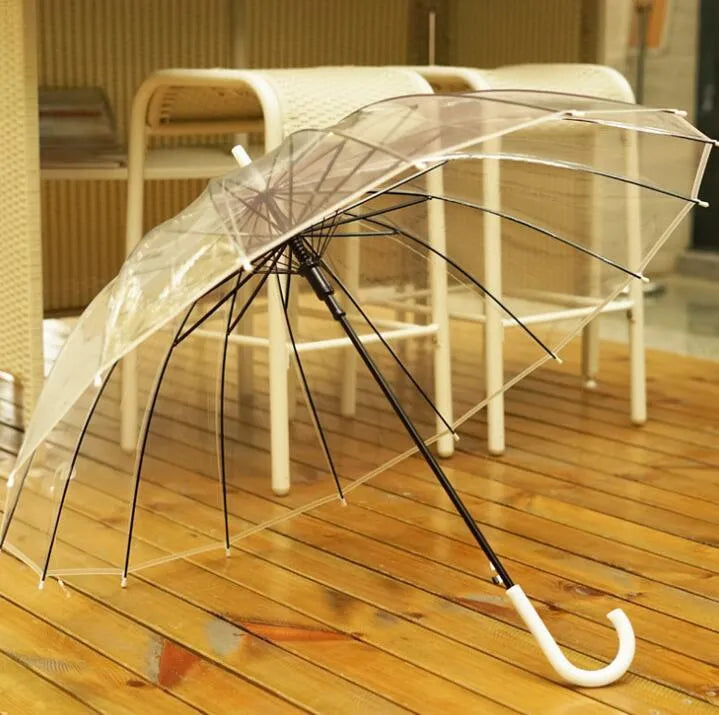 Transparent umbrella with long handle showing 16-rib construction and black steel frame
