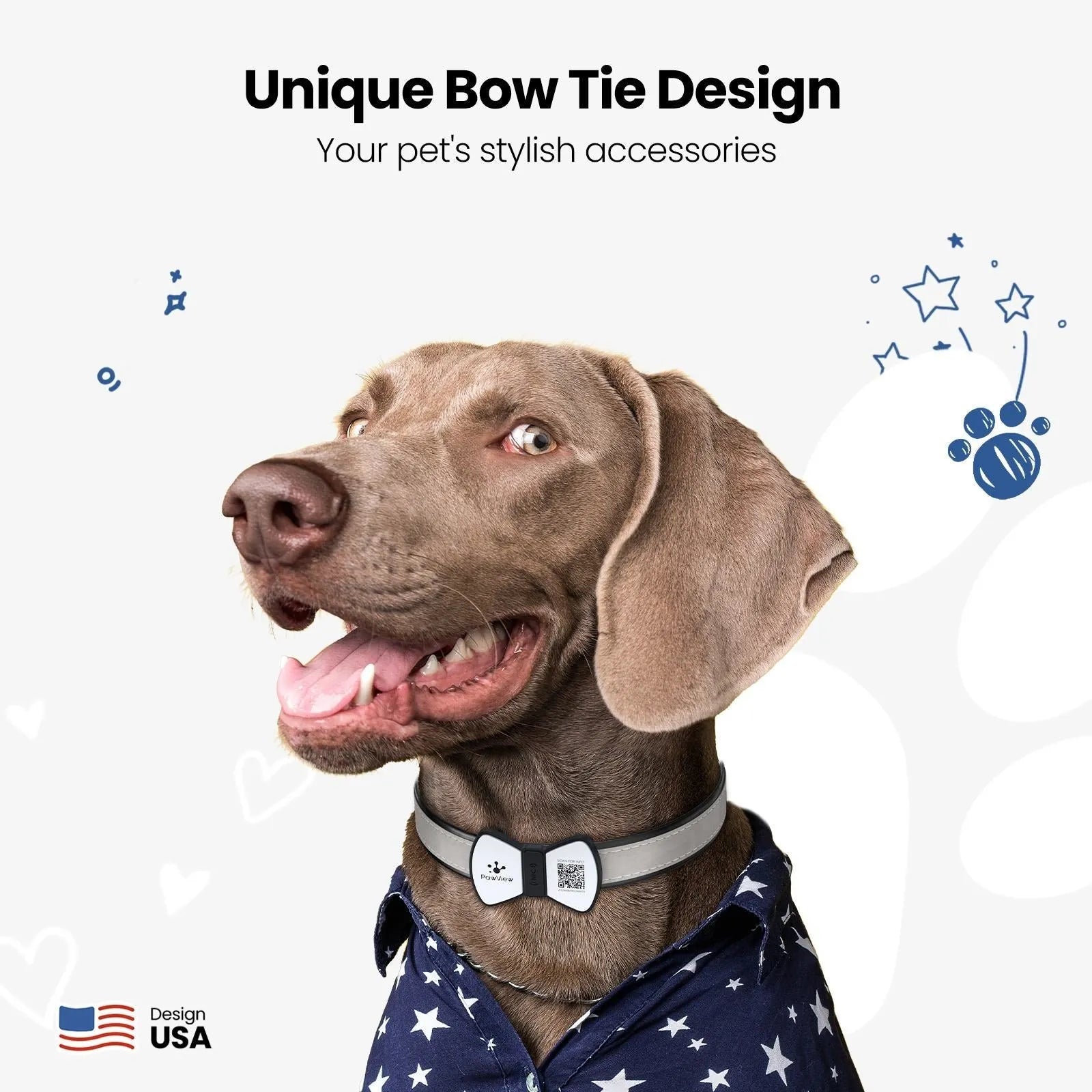 NFC smart QR code silicone pet tag with bowknot in black, blue, pink, red on dog collar