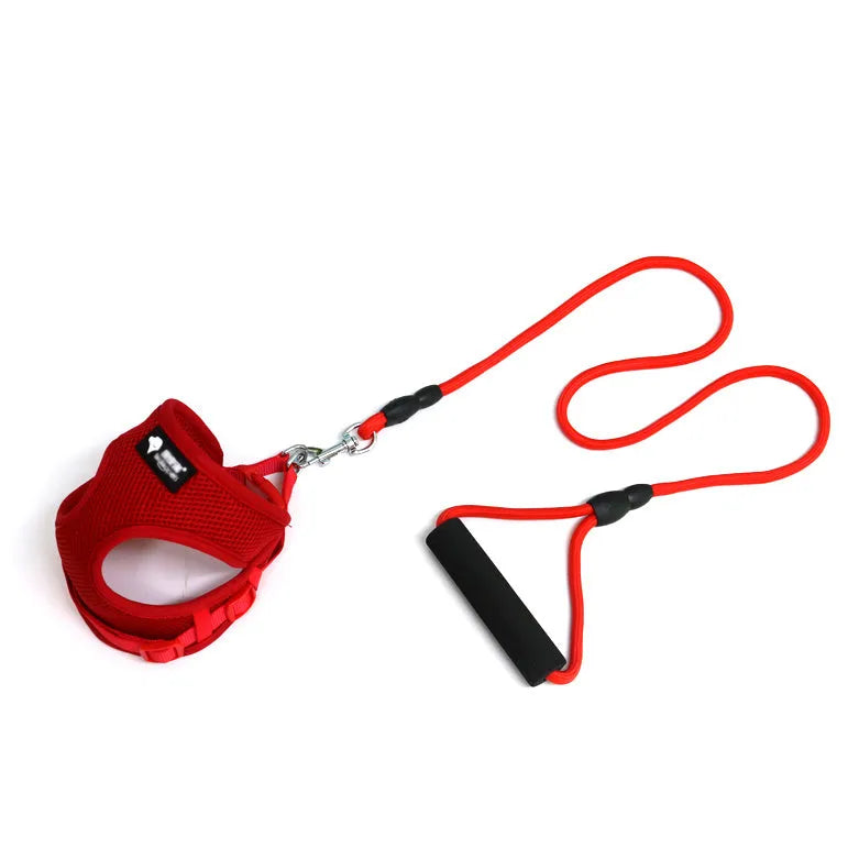 Blue adjustable dog leash and collar set with foam handle for a small dog.