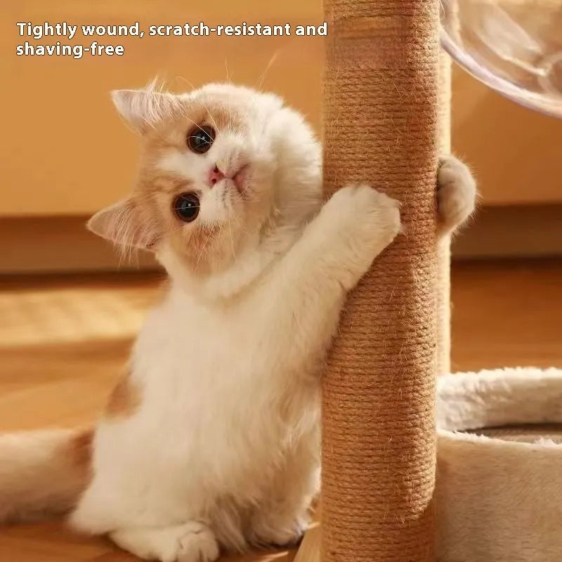 Wooden cat climbing frame with space capsule hideaway in luxury finish