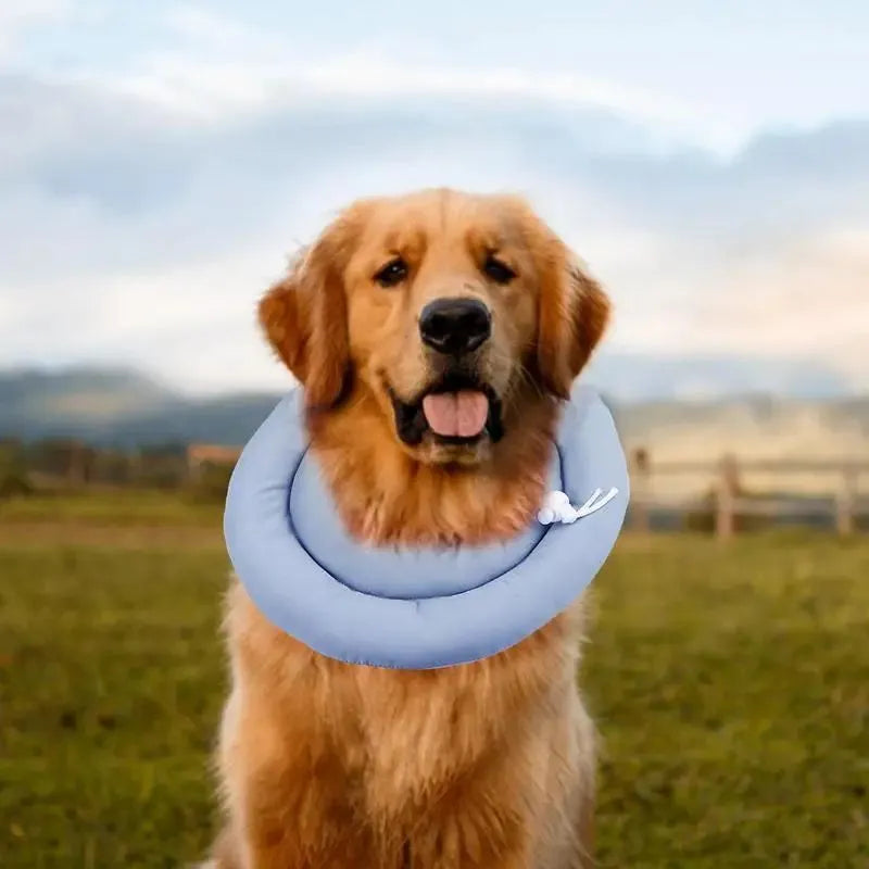 Adjustable waterproof Elizabethan recovery collar for dogs and cats in blue, shown with size chart