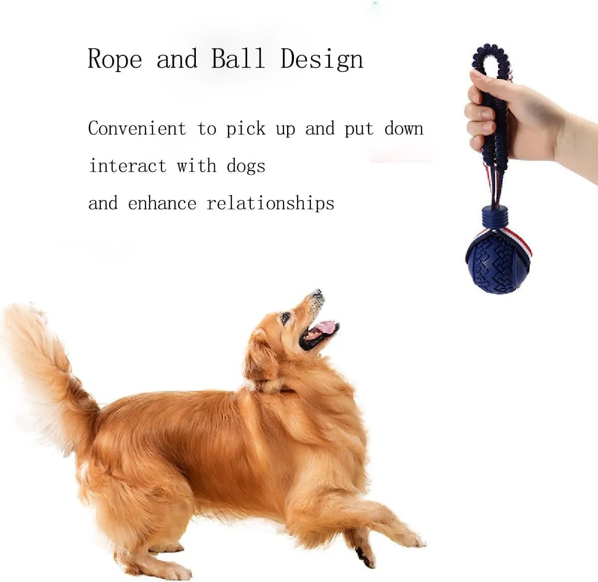 Blue rubber dog ball attached to a rope, a tug and fetch toy for small dogs.