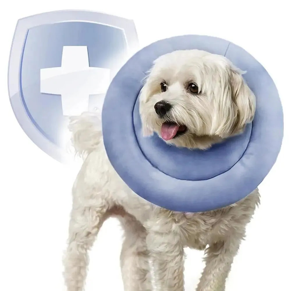 Adjustable waterproof Elizabethan recovery collar for dogs and cats in blue, shown with size chart