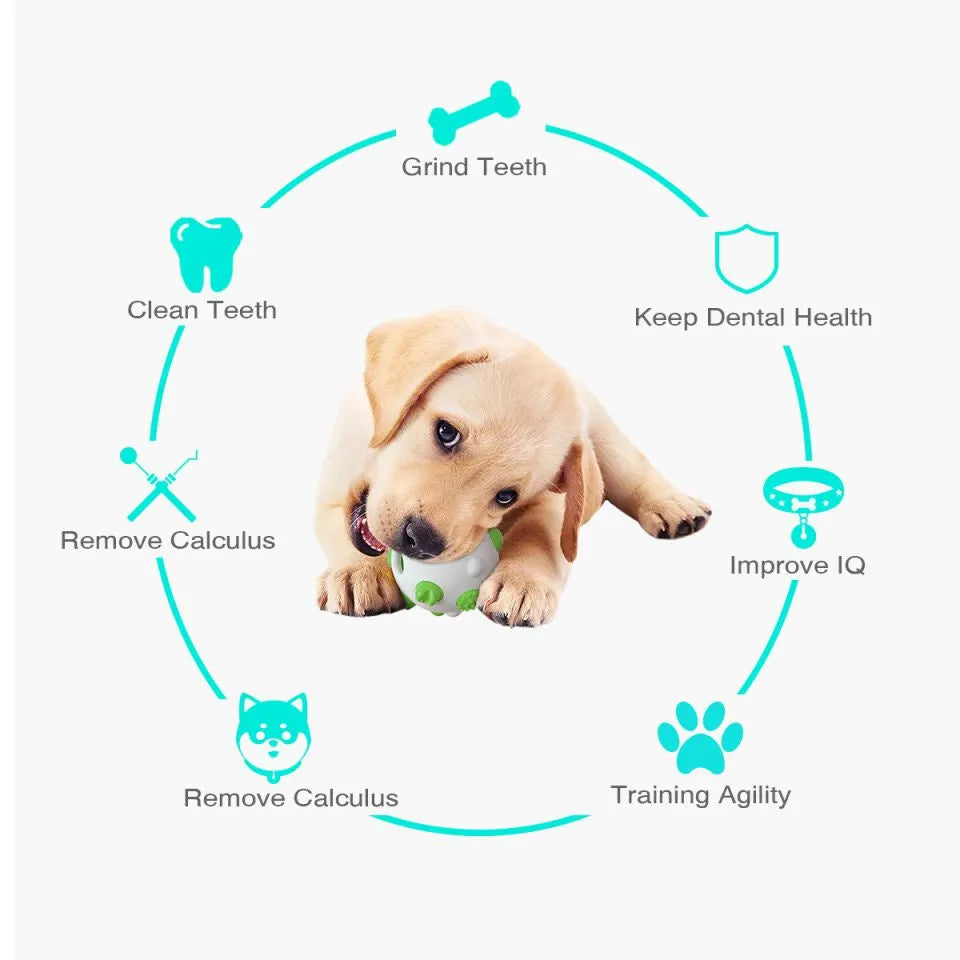 Blue dog teething chew ball with textured bumps and hollow treat compartment.