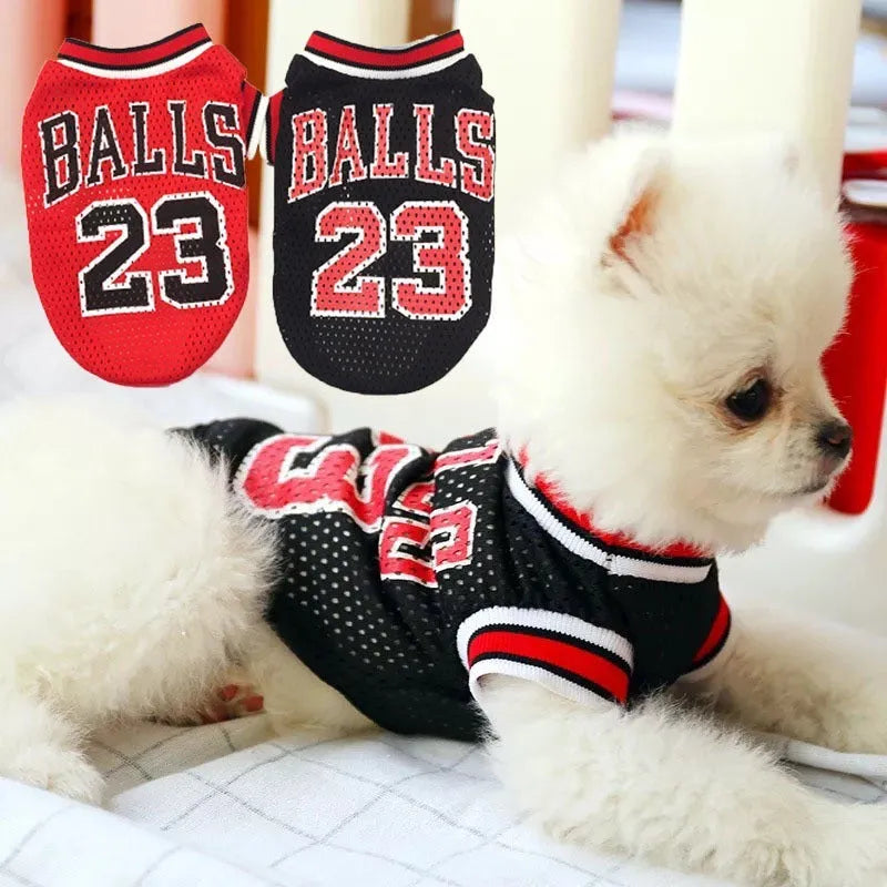 Black and red dog sweatshirt vest for small to large dogs on a white background.