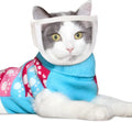 Clear transparent PVC cat muzzle with cotton lining and central breathing hole