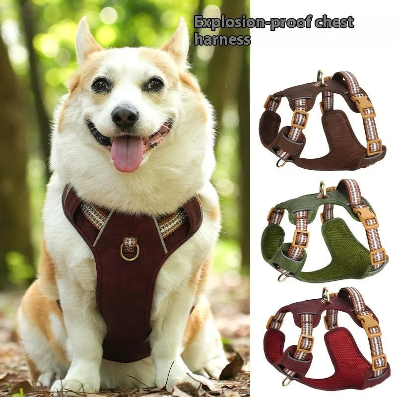 Brown leather dog harness with reflective strips showing buckle closure and adjustable chest strap