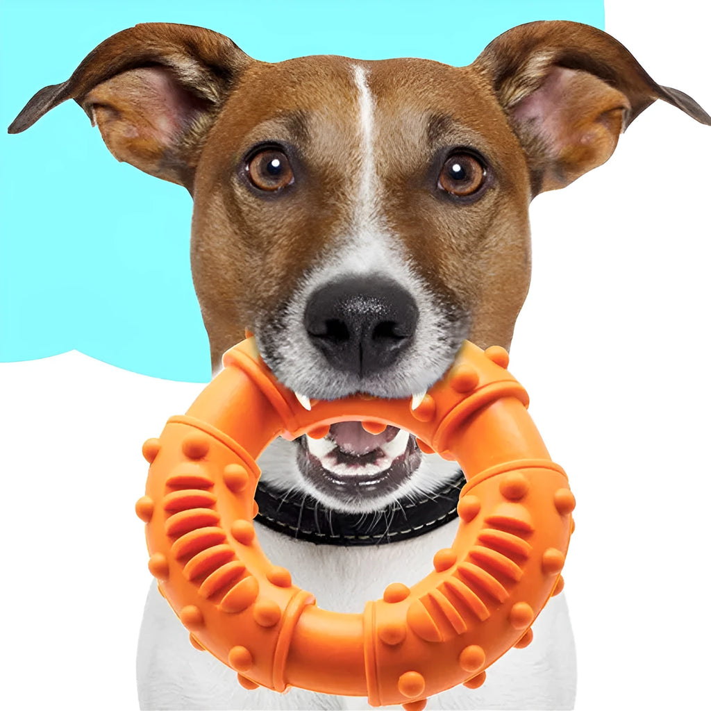 Blue, orange, and red bouncy hollow dog fetching stick toy for safe chew and fetch play.