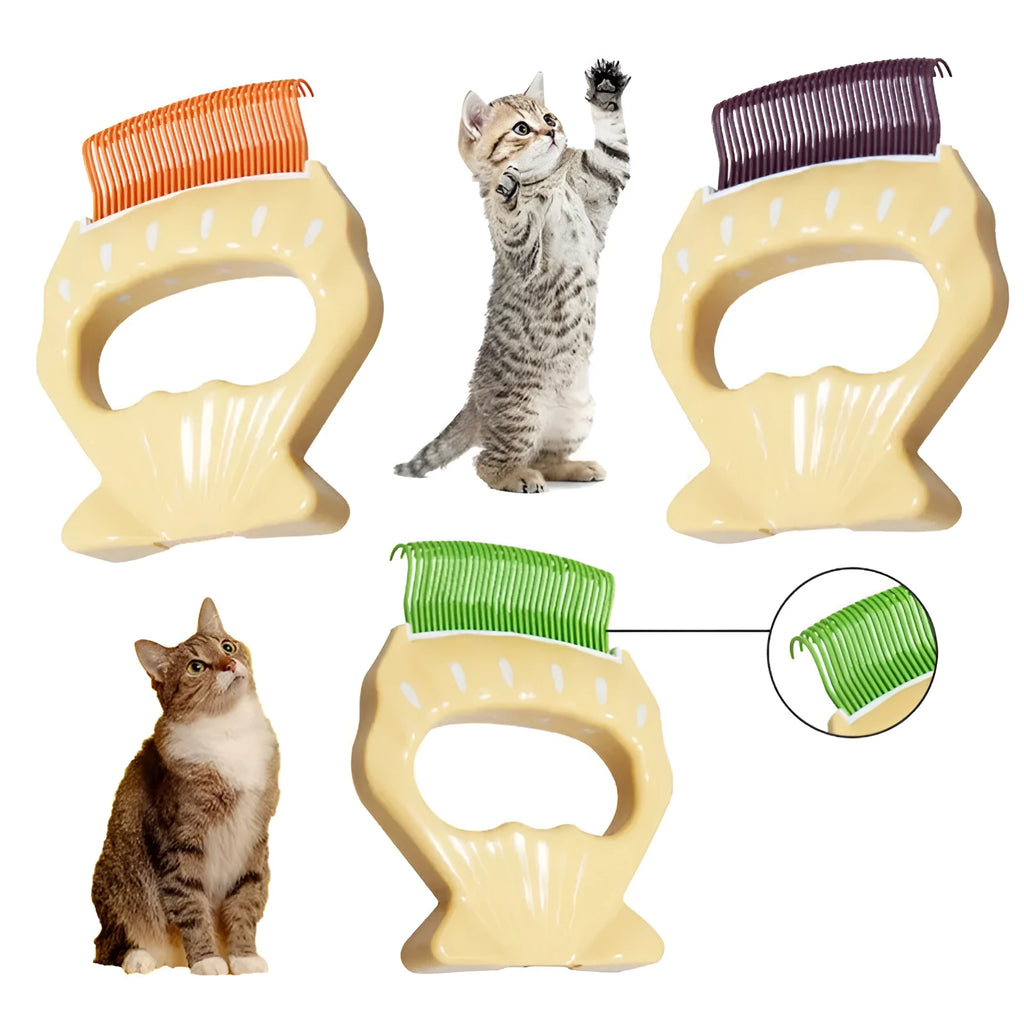 Shell shaped pet grooming brush with wire bristles in green, orange and purple colour options
