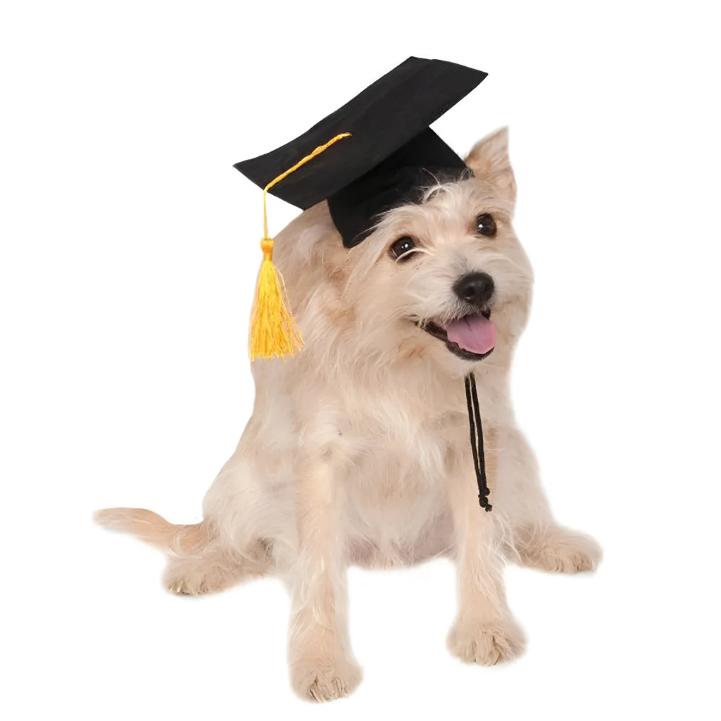 Black fabric pet graduation cap with yellow tassel for dogs