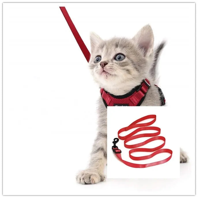 Escape proof cat vest harness in black with reflective trim and car seat belt adapter leash