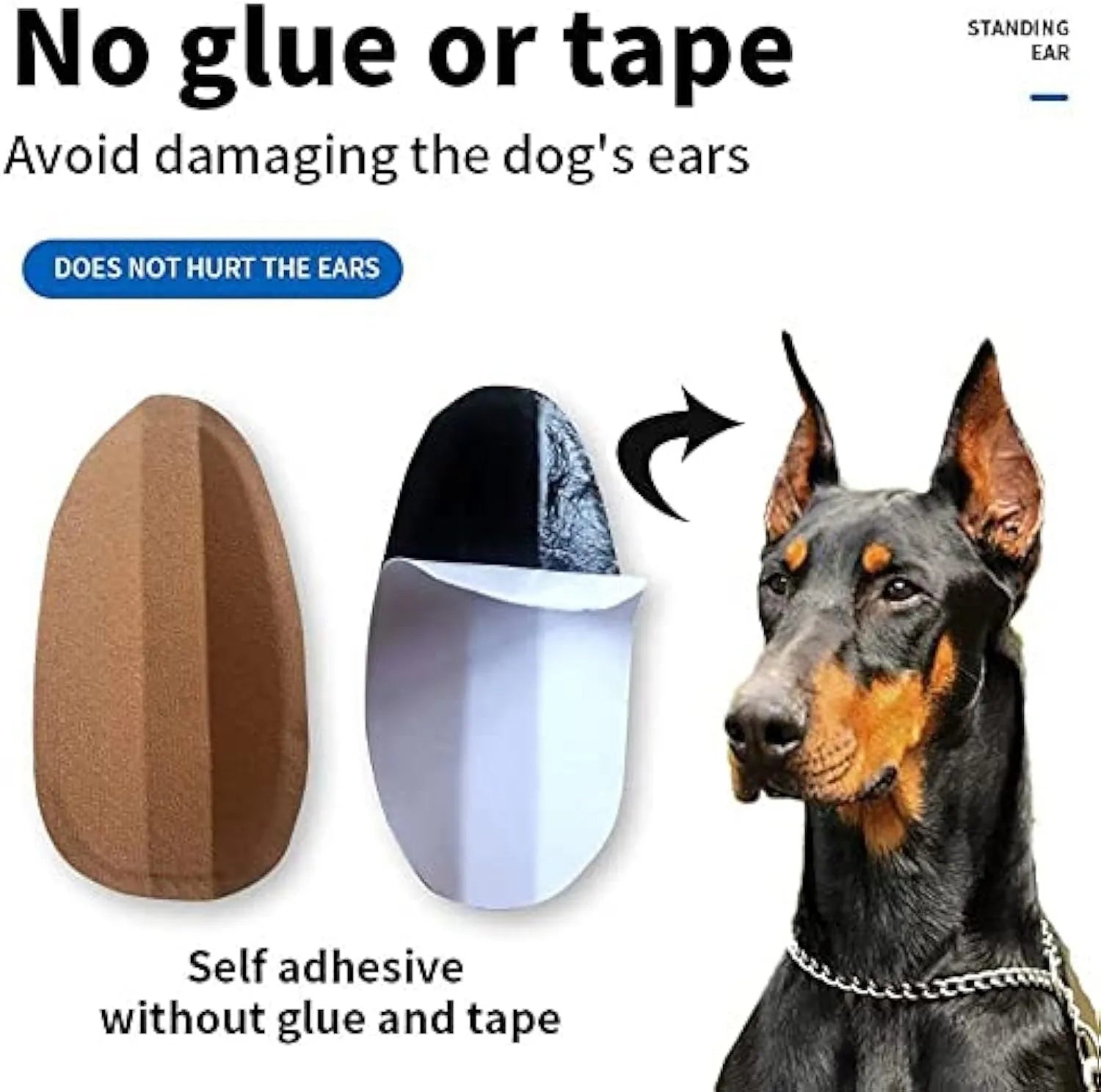 A dog ear support patch sticker shown next to a sizing chart for Doberman, Sheltie, and Corgi puppies.